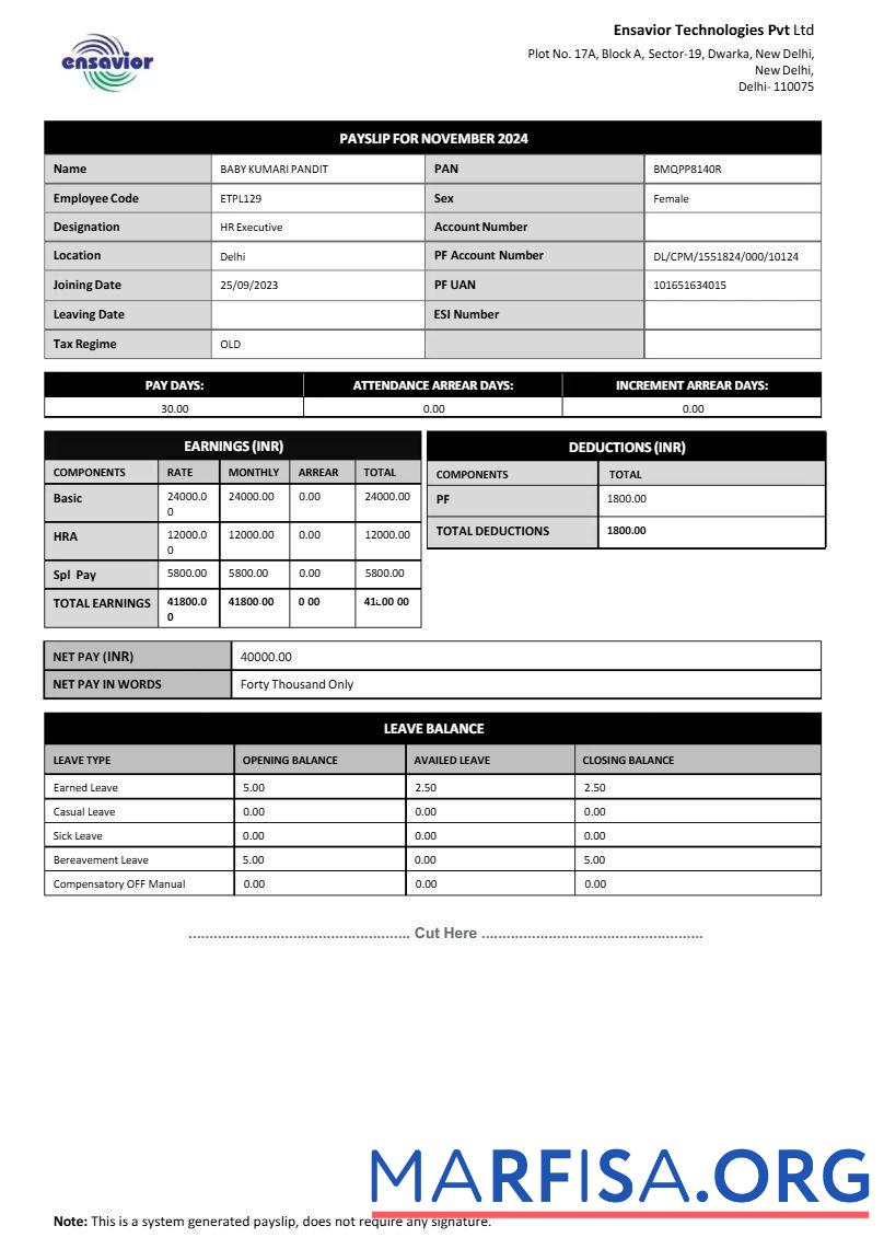 Downloadable Ensavior Technologies payslip real example